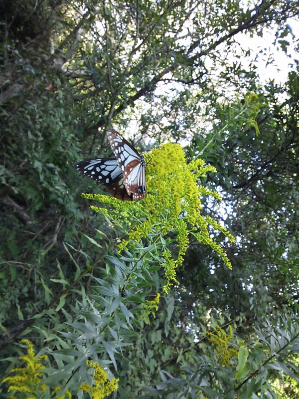 f:id:ka-gu:20131012092612j:image f:id:ka-gu:20131012092612j:image