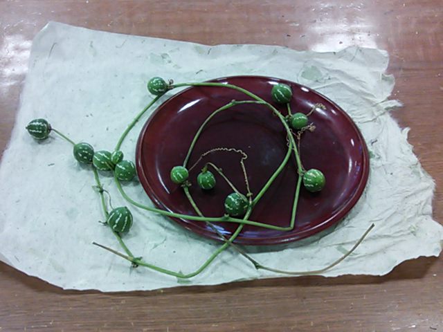 f:id:ka-gu:20131013092101j:image:w360 f:id:ka-gu:20131013092101j:image:w360