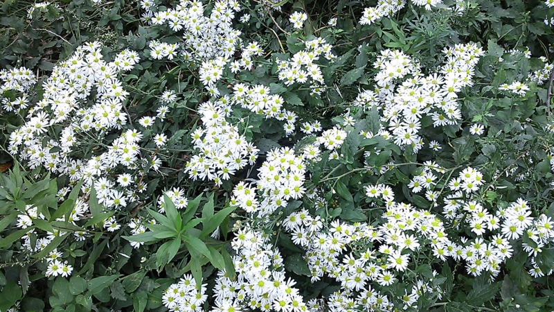 f:id:ka-gu:20131025103233j:image:w360 f:id:ka-gu:20131025103233j:image:w360