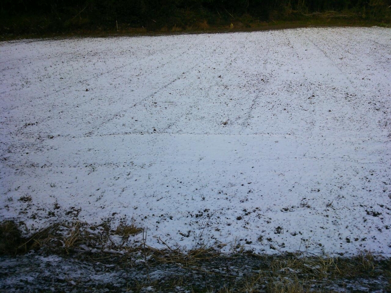 f:id:ka-gu:20150102192510j:image:w360