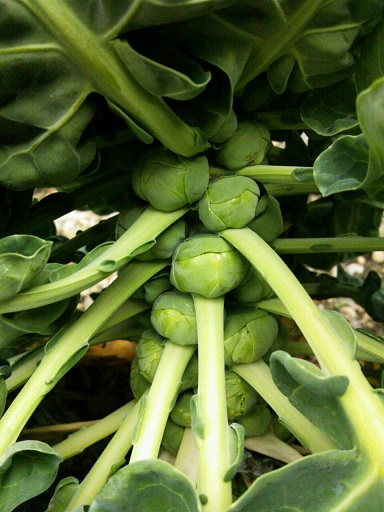 f:id:ka-gu:20150225202341j:image:w360 f:id:ka-gu:20150225202341j:image:w360