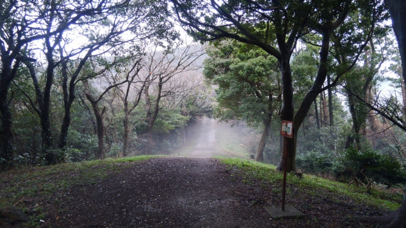 f:id:ka-gu:20150323212624j:image:w360 f:id:ka-gu:20150323212624j:image:w360