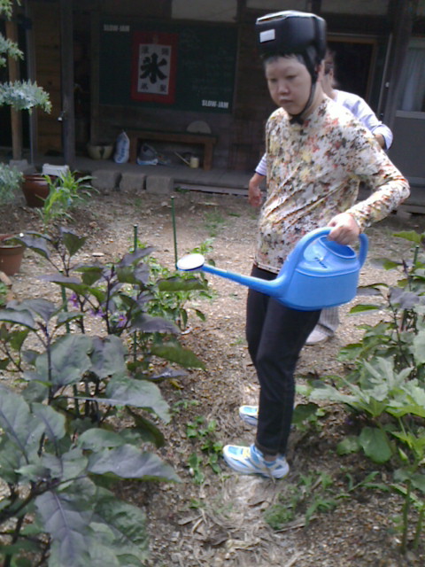f:id:ka-gu:20150624105000j:image:w360