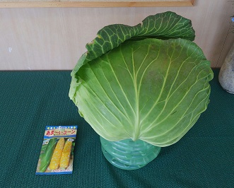 f:id:ka-gu:20160304220235j:image