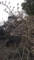 20160305224534