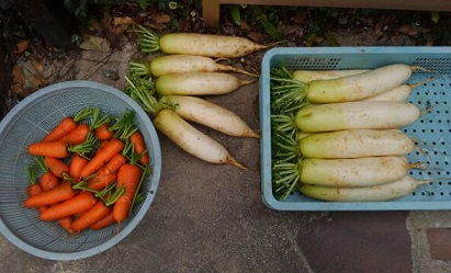 f:id:ka-gu:20161220192338j:image f:id:ka-gu:20161220192338j:image