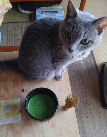 f:id:ka-gu:20170102194540j:image