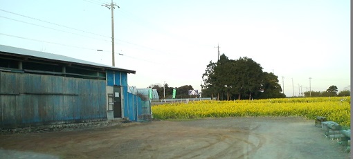 f:id:ka-gu:20170118164056j:image f:id:ka-gu:20170118164056j:image