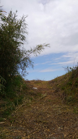 f:id:ka-gu:20170504184545j:image f:id:ka-gu:20170504184545j:image