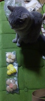 f:id:ka-gu:20170507221150j:image