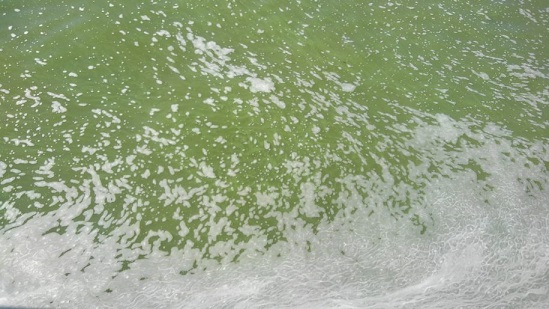 f:id:ka-gu:20171110182544j:image f:id:ka-gu:20171110182544j:image