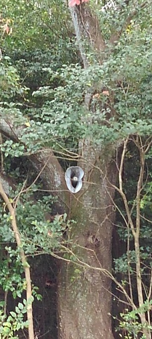 f:id:ka-gu:20171130194703j:image f:id:ka-gu:20171130194703j:image