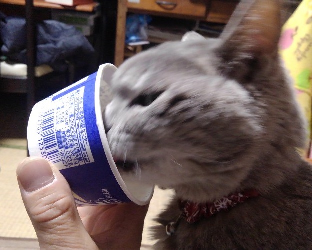 f:id:ka-gu:20180111202105j:image f:id:ka-gu:20180111202105j:image