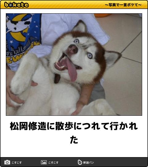 f:id:ka-gu:20180130215641j:image