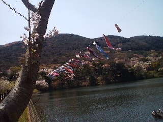 f:id:ka-gu:20180330104541j:image f:id:ka-gu:20180330104541j:image