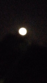 f:id:ka-gu:20190122222701j:image f:id:ka-gu:20190122222701j:image