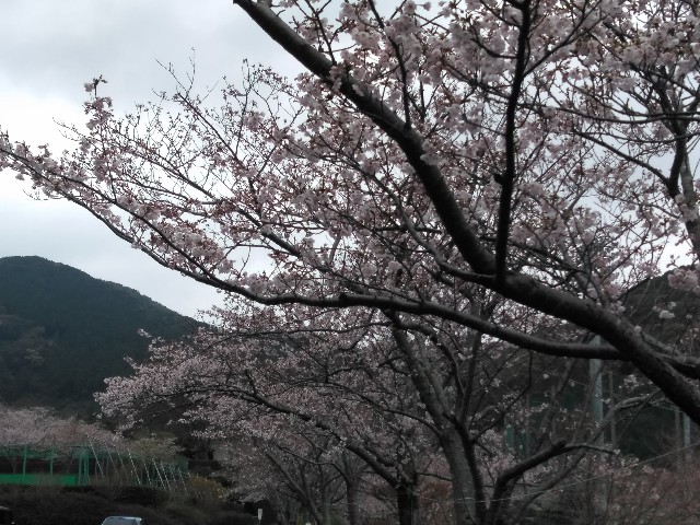 f:id:ka-gu:20200331170900j:plain