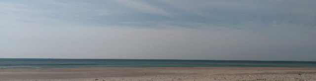 f:id:ka-gu:20200415090003j:plain f:id:ka-gu:20200415090003j:plain