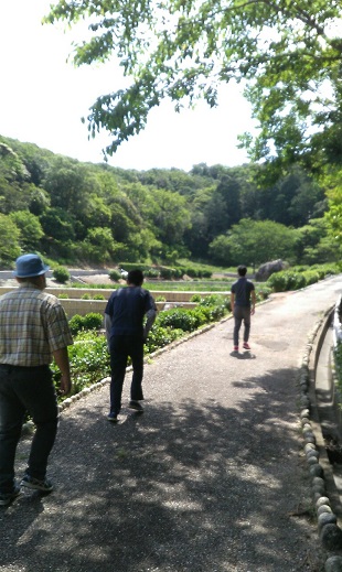 f:id:ka-gu:20200508173025j:plain