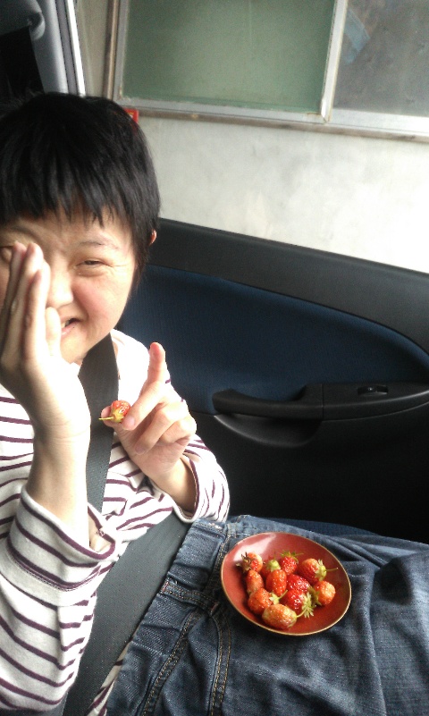 f:id:ka-gu:20200515112022j:plain f:id:ka-gu:20200515112022j:plain