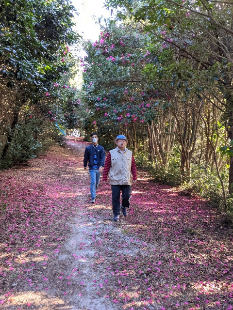 f:id:ka-gu:20201204113053j:plain