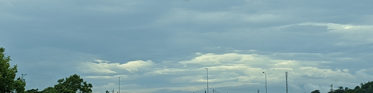 f:id:ka-gu:20210707150321j:plain