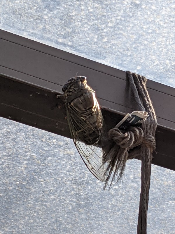 f:id:ka-gu:20210725164051j:plain