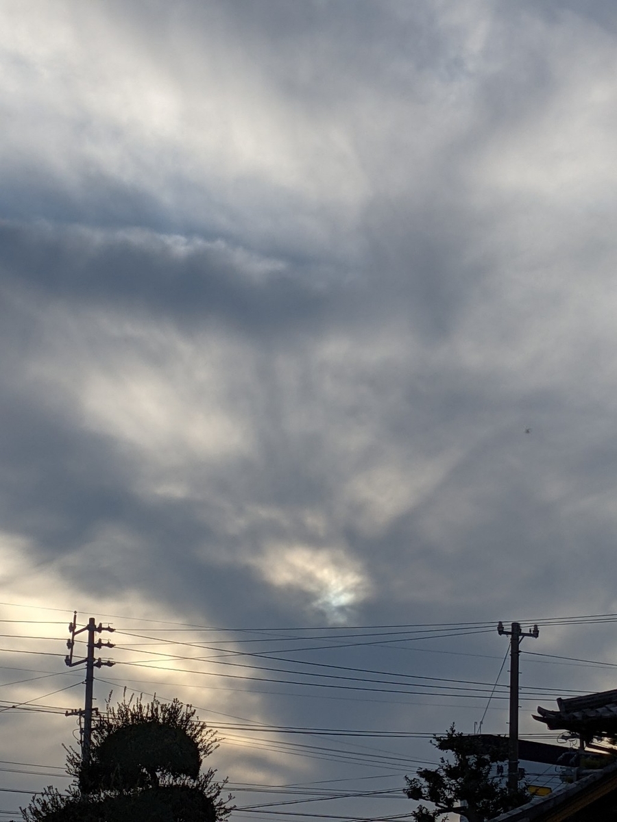 f:id:ka-gu:20211107161338j:plain