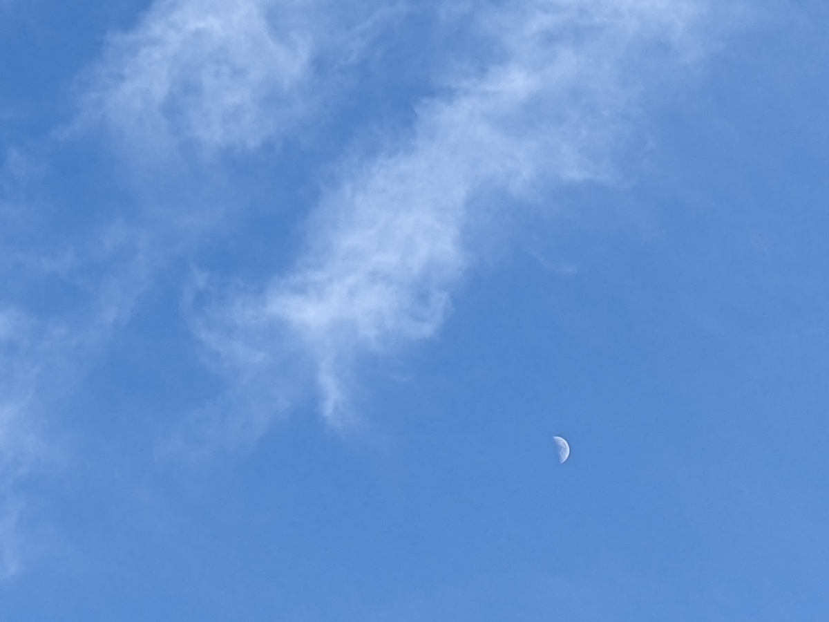 f:id:ka-gu:20220109200238j:plain