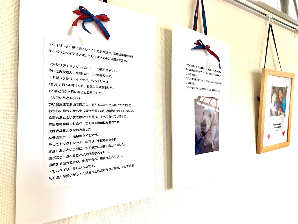 f:id:ka-none:20201014225820j:image f:id:ka-none:20201014225820j:image