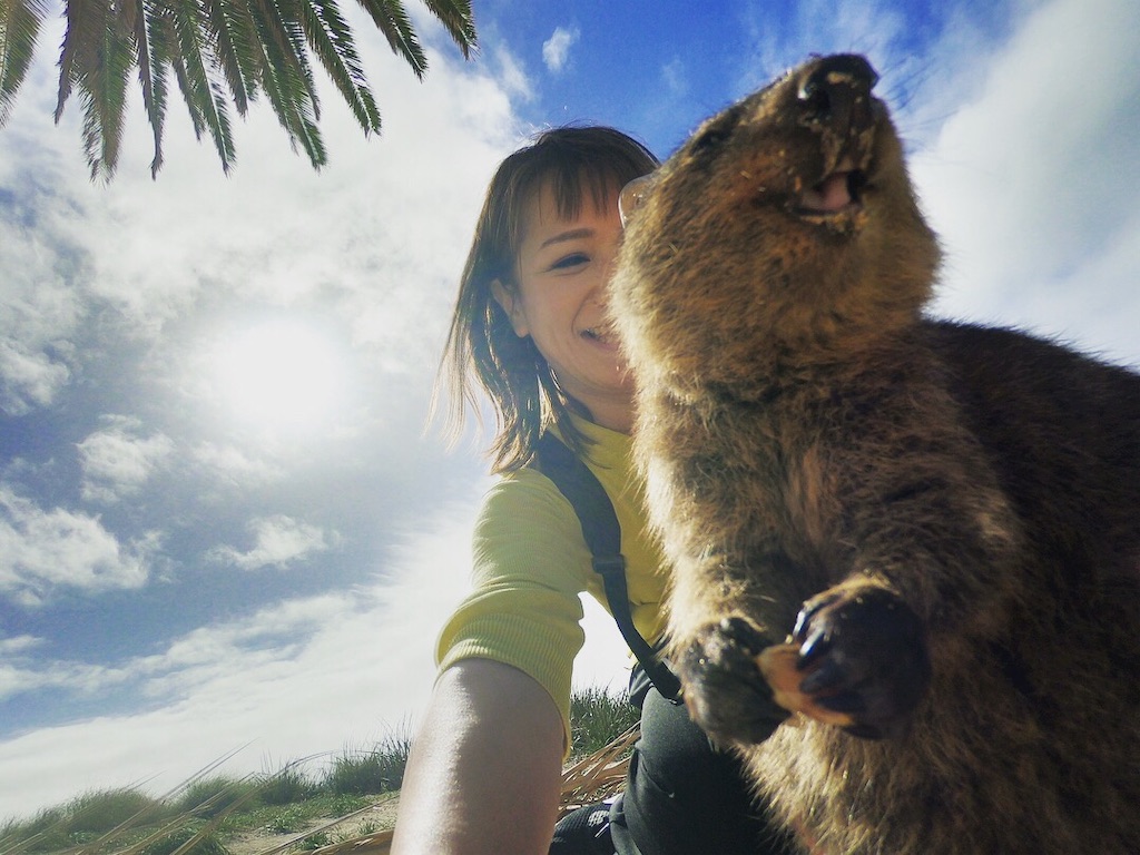 f:id:ka-ri-jp:20200513231012j:image