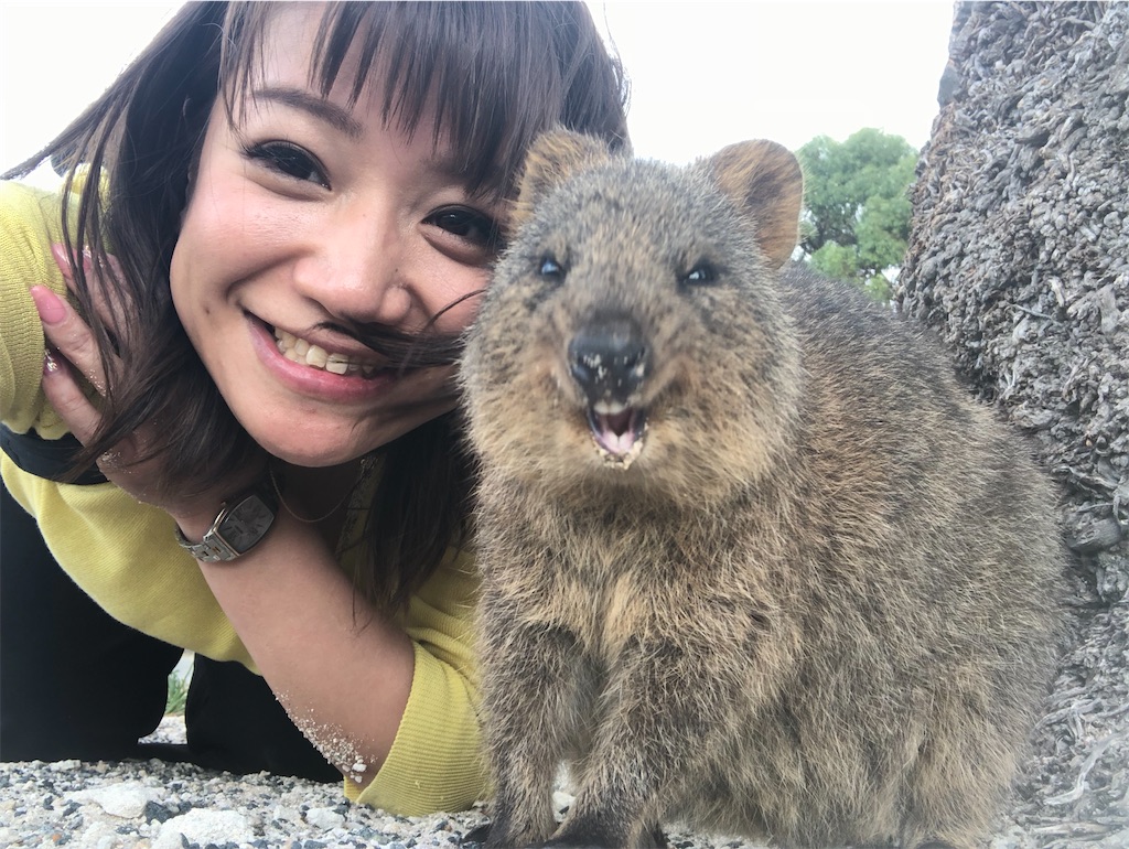 f:id:ka-ri-jp:20200513231019j:image