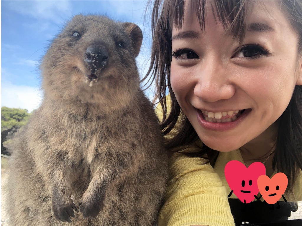 f:id:ka-ri-jp:20200513231024j:image