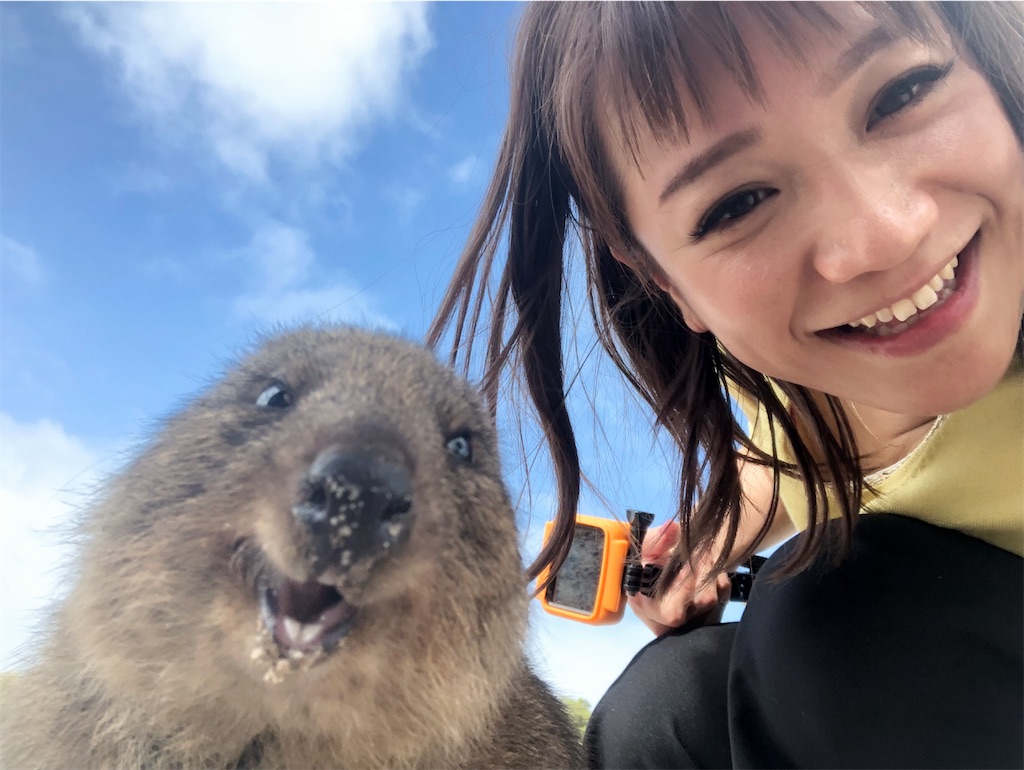 f:id:ka-ri-jp:20200513231029j:image