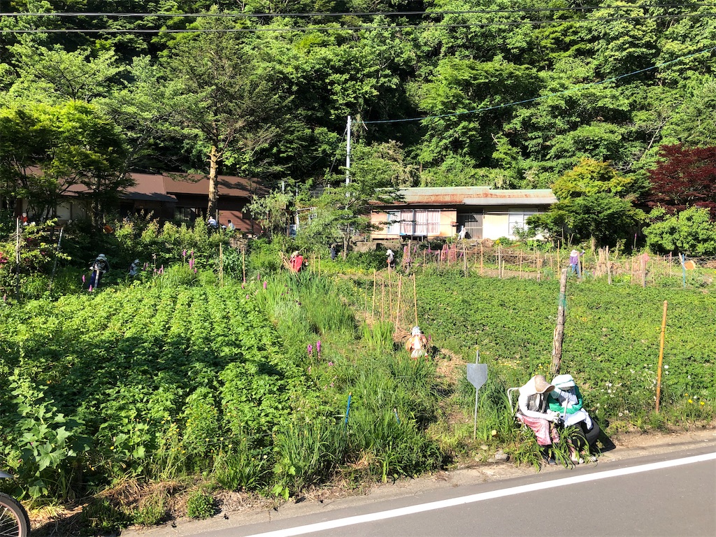 f:id:ka-ri-jp:20200622001307j:image f:id:ka-ri-jp:20200622001307j:image