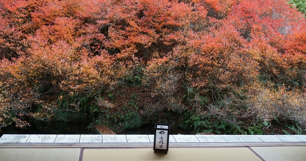 f:id:ka-ruojisan:20181116110859j:plain f:id:ka-ruojisan:20181116110859j:plain