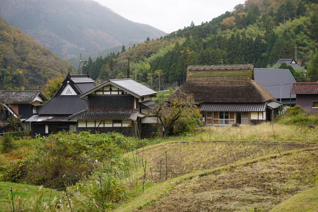 f:id:ka-ruojisan:20181116121722j:plain f:id:ka-ruojisan:20181116121722j:plain