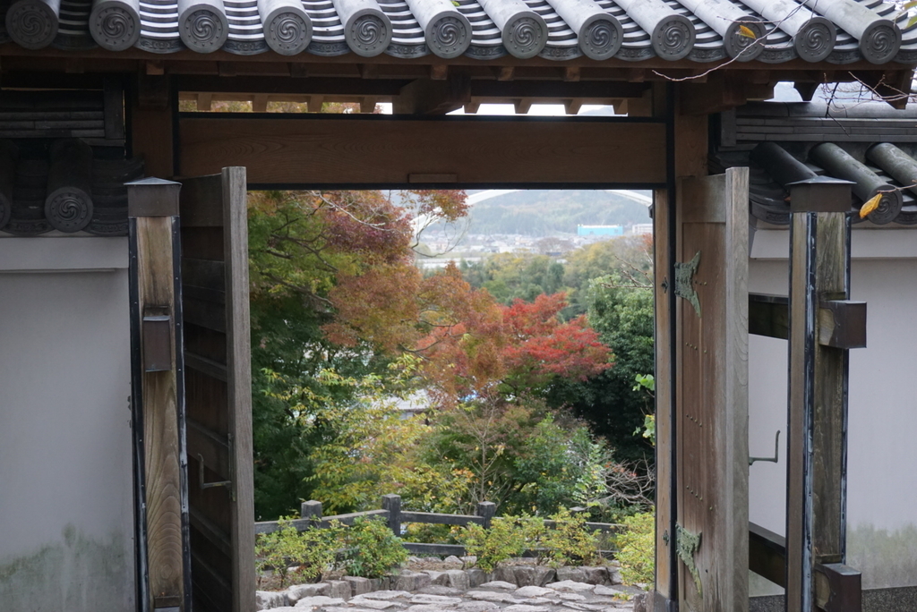 f:id:ka-ruojisan:20181116124453j:plain f:id:ka-ruojisan:20181116124453j:plain