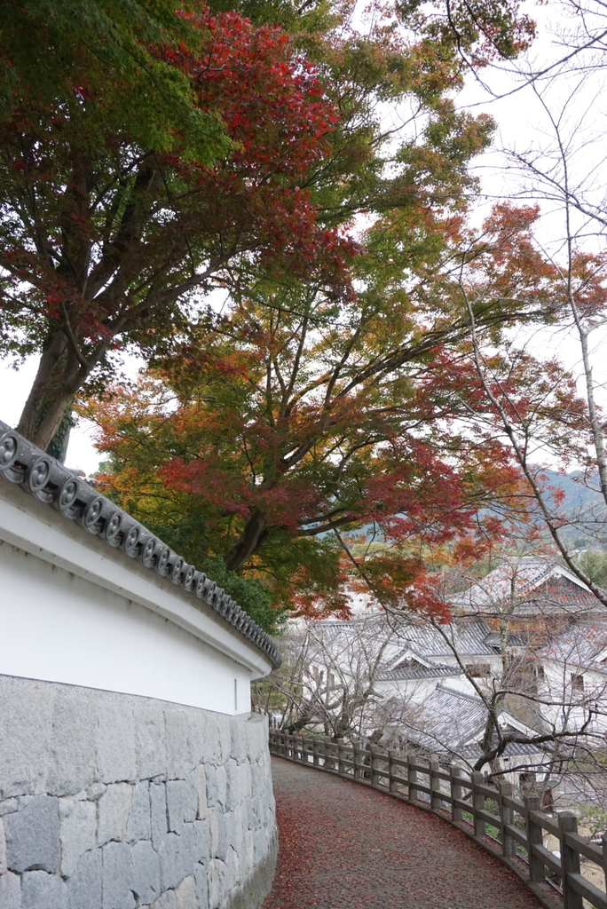 f:id:ka-ruojisan:20181116124515j:plain f:id:ka-ruojisan:20181116124515j:plain