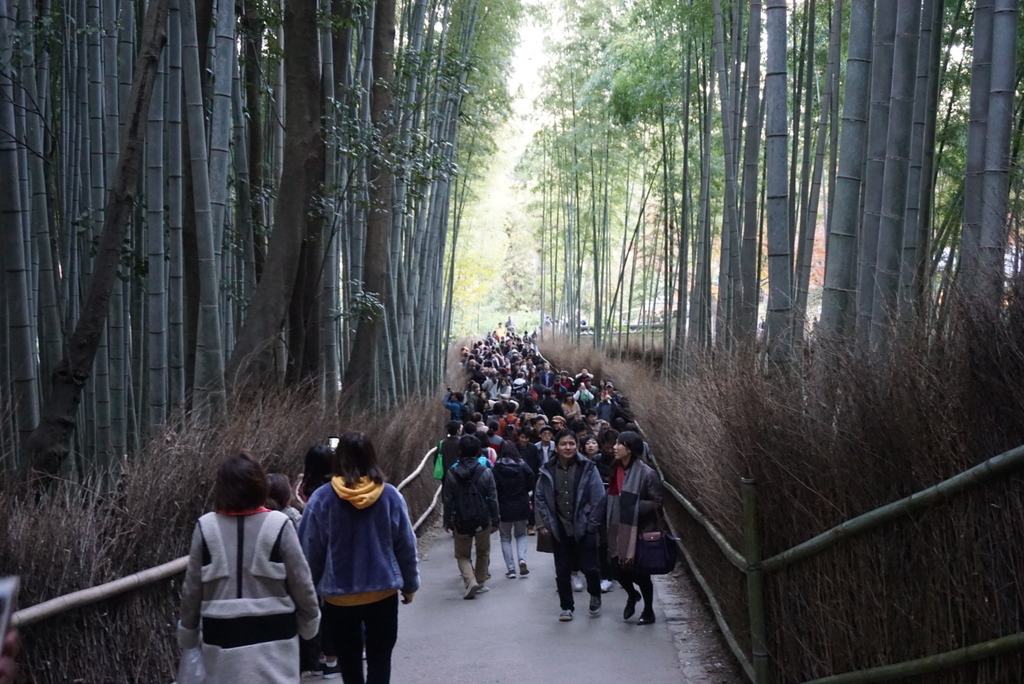 f:id:ka-ruojisan:20181129175436j:plain f:id:ka-ruojisan:20181129175436j:plain