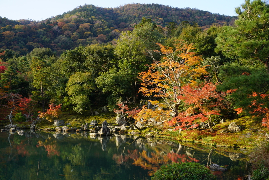 f:id:ka-ruojisan:20181129223544j:plain f:id:ka-ruojisan:20181129223544j:plain
