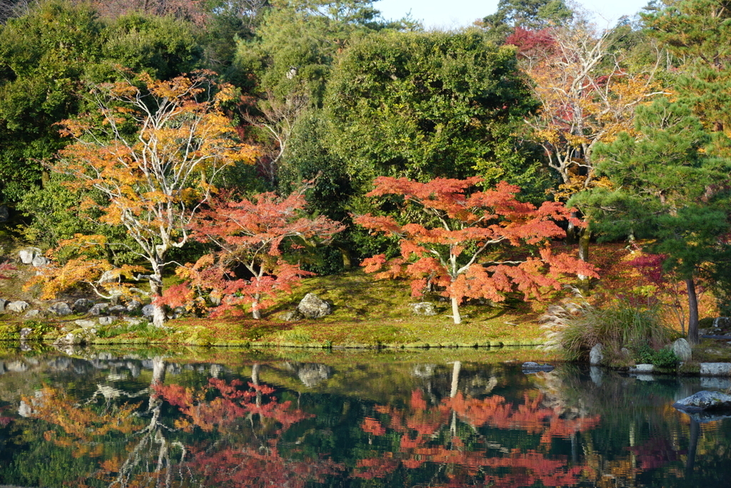 f:id:ka-ruojisan:20181129223618j:plain f:id:ka-ruojisan:20181129223618j:plain