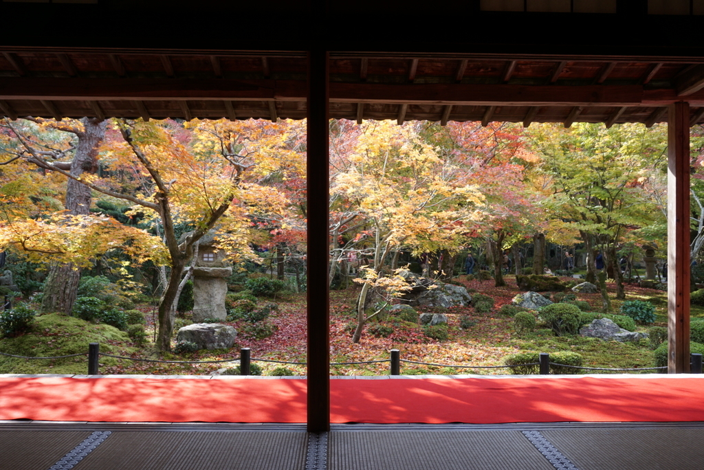 f:id:ka-ruojisan:20181129224622j:plain f:id:ka-ruojisan:20181129224622j:plain