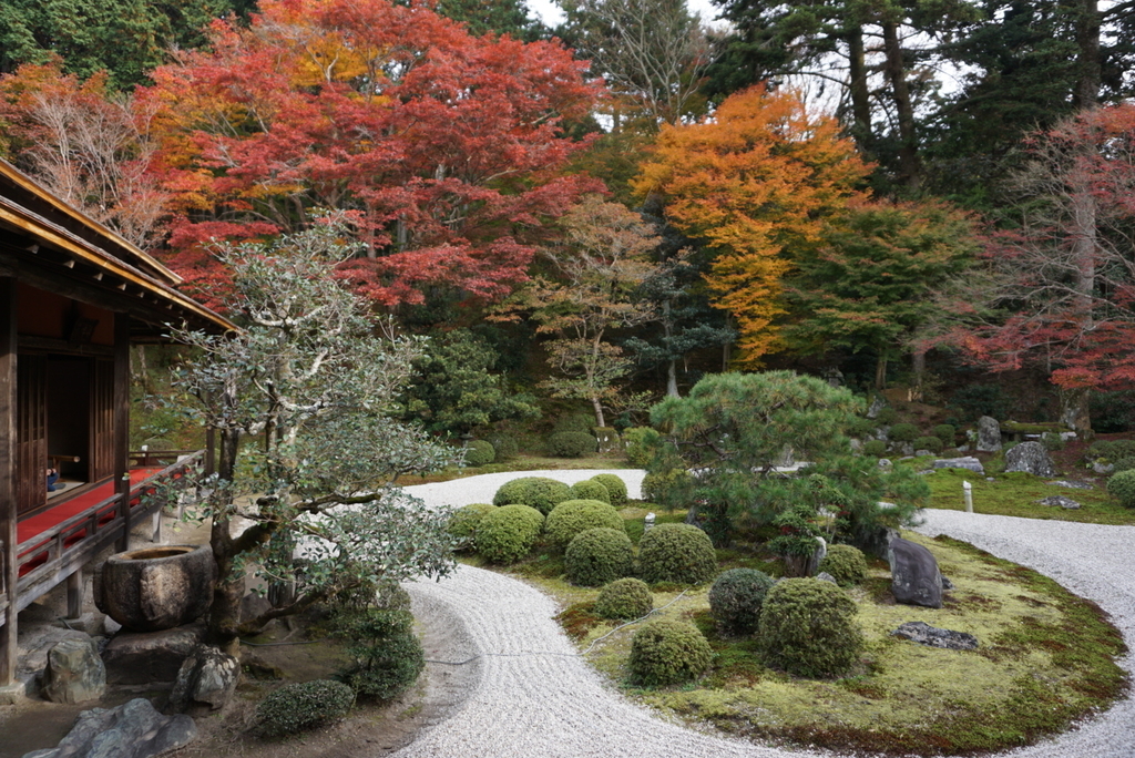 f:id:ka-ruojisan:20181130142916j:plain f:id:ka-ruojisan:20181130142916j:plain
