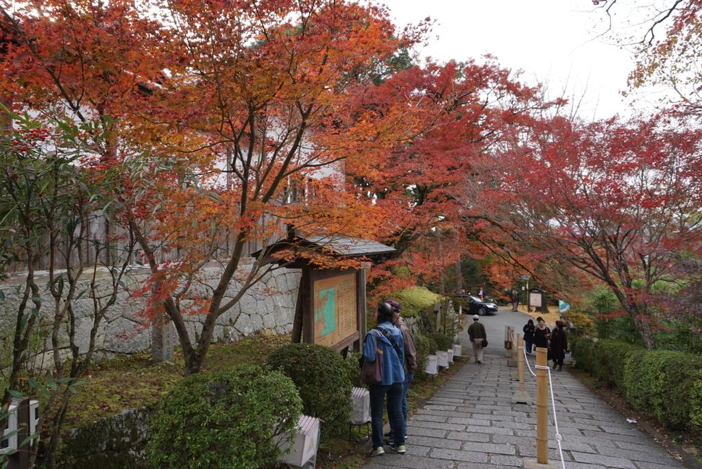 f:id:ka-ruojisan:20181130143111j:plain