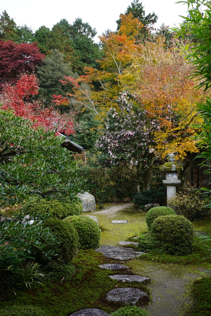f:id:ka-ruojisan:20181130144435j:plain f:id:ka-ruojisan:20181130144435j:plain