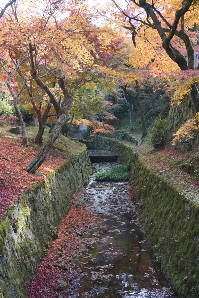 f:id:ka-ruojisan:20181130144821j:plain f:id:ka-ruojisan:20181130144821j:plain