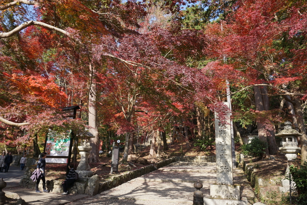 f:id:ka-ruojisan:20181130145244j:plain f:id:ka-ruojisan:20181130145244j:plain