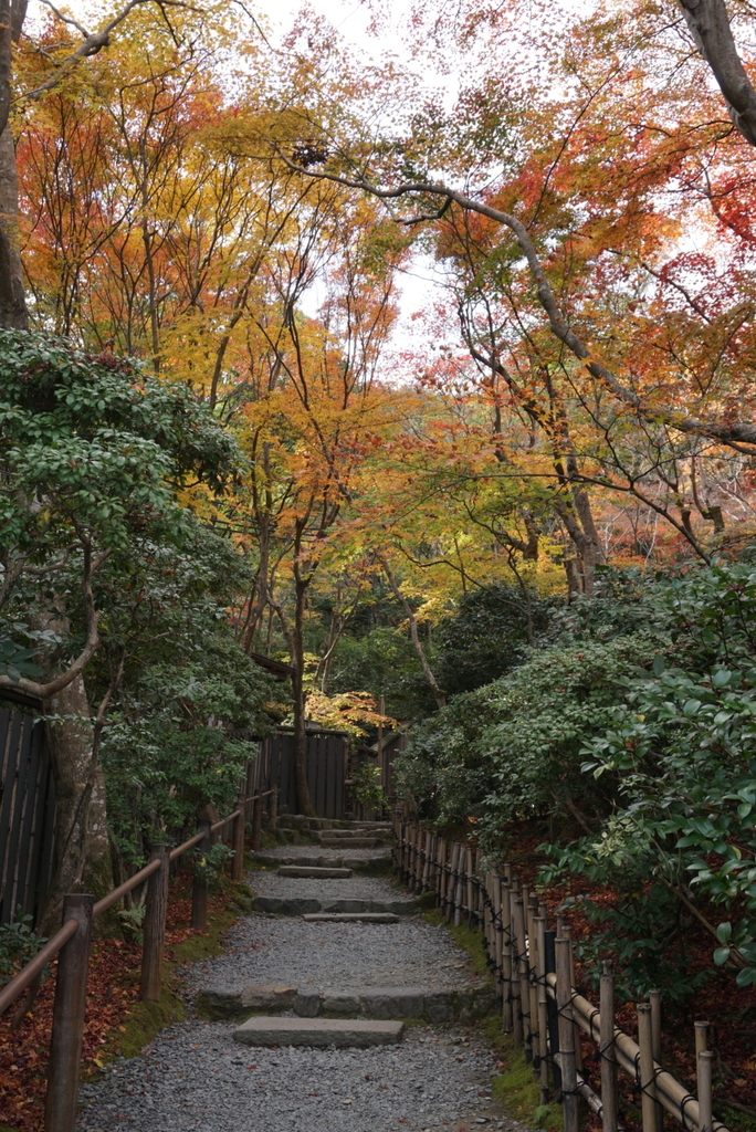 f:id:ka-ruojisan:20181130152555j:plain f:id:ka-ruojisan:20181130152555j:plain