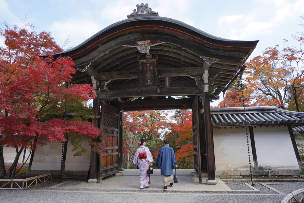 f:id:ka-ruojisan:20181130153019j:plain f:id:ka-ruojisan:20181130153019j:plain